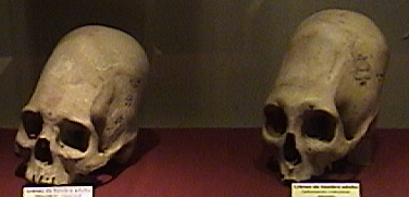 MArcheoDefCraneTub.jpg